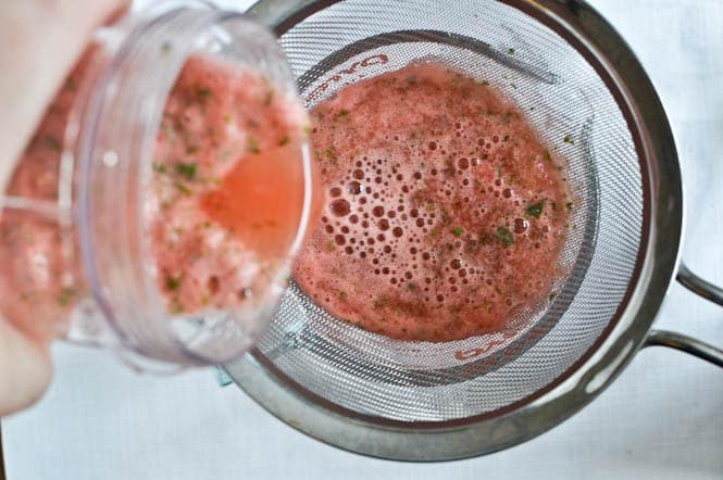 Fresh Mint and Watermelon Soda Floats I howsweeteats.com Fresh Mint and Watermelon Soda Floats I howsweeteats.com