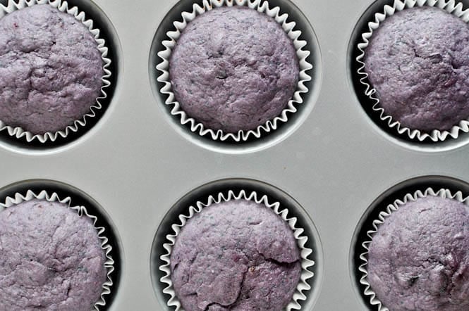 Roasted Blueberry Cupcakes with Chocolate Fudge Frosting I howsweeteats.com Roasted Blueberry Cupcakes with Chocolate Fudge Frosting I howsweeteats.com