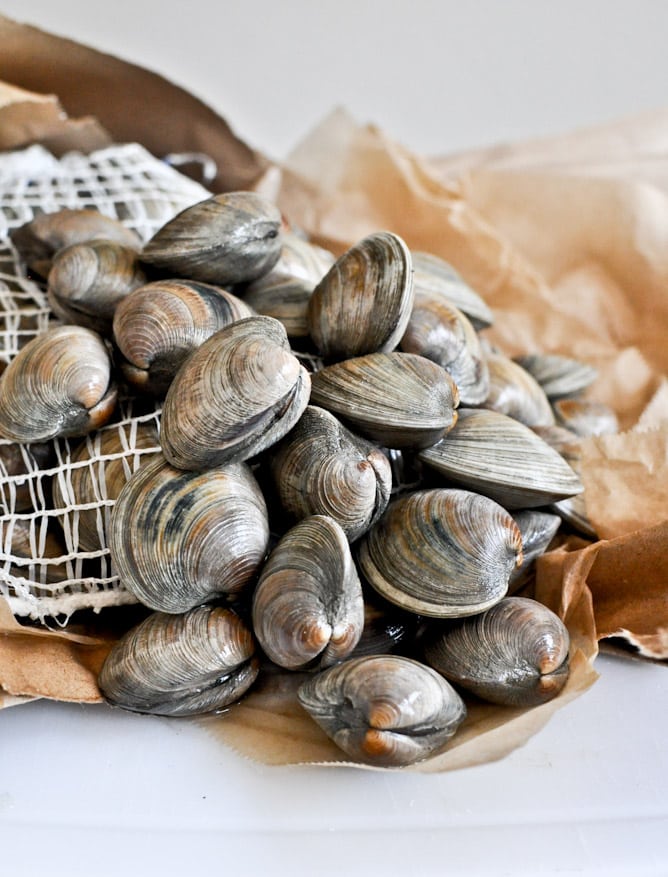 Fresh New England Clam Chowder with Brown Butter Garlic Croutons I howsweeteats.com Fresh New England Clam Chowder with Brown Butter Garlic Croutons I howsweeteats.com