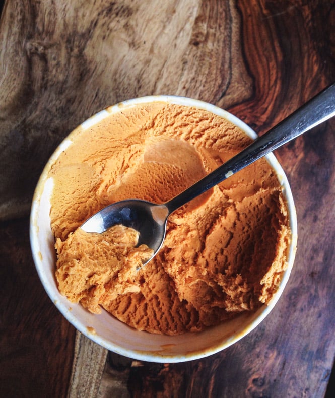 Trader Joe's Pumpkin Ice Cream I howsweeteats.com-1