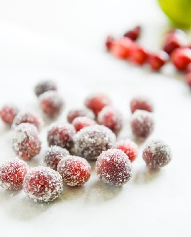 fresh cranberry ginger vanilla margaritas (with sugared cranberries!) I howsweeteats.com fresh cranberry ginger vanilla margaritas (with sugared cranberries!) I howsweeteats.com