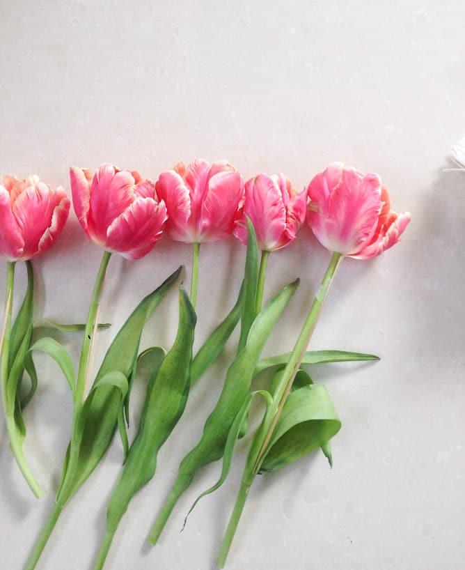 random life slices I howsweeteats.com random life slices I howsweeteats.com