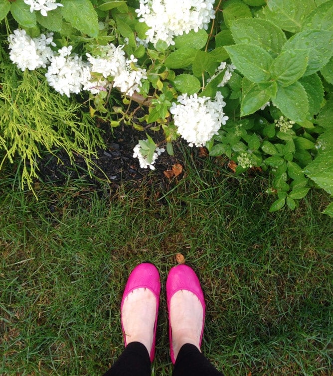 pregnancy stuff I'm loving I howsweeteats.com