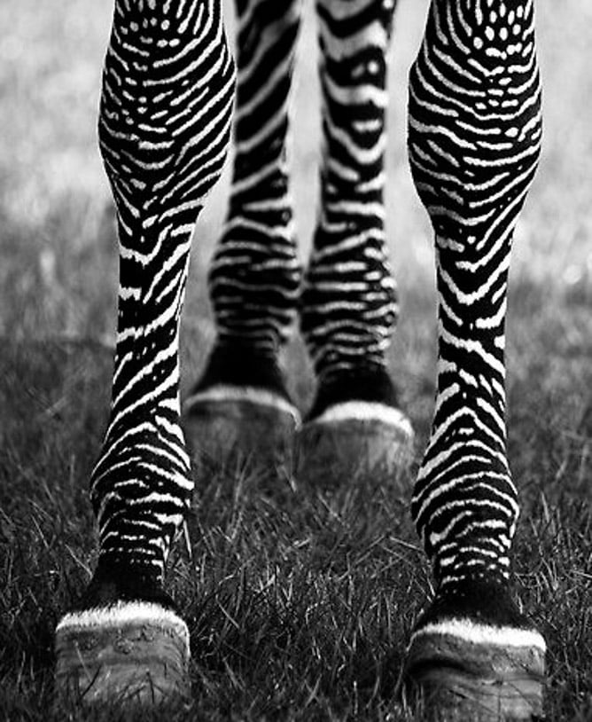 currently crushing on I howsweeteats.com