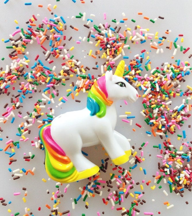 on west coast book tour adventures I howsweeteats.com