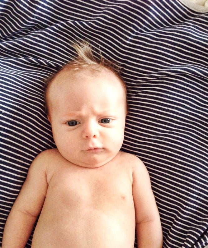 life with max: eight weeks in I howsweeteats.com