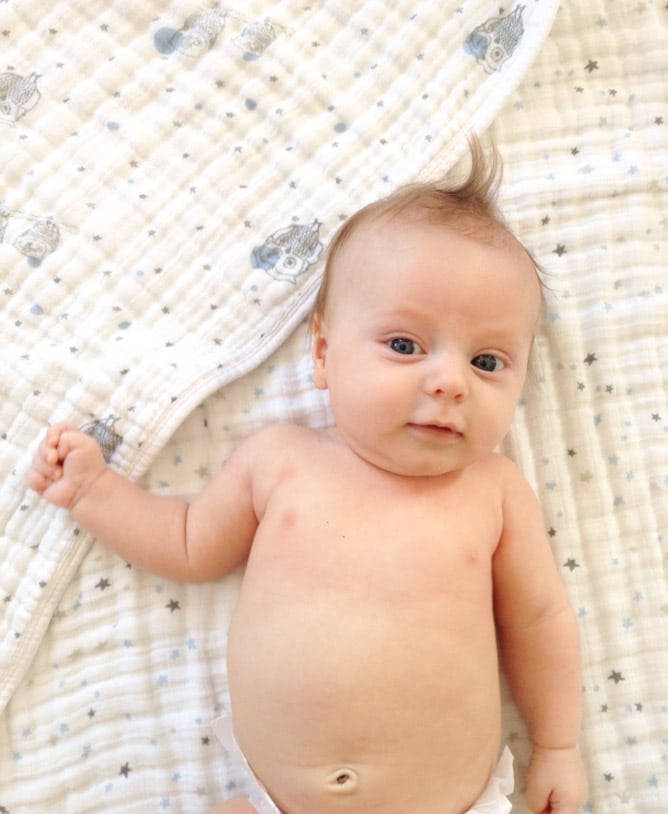 life with max: eleven weeks in I howsweeteats.com