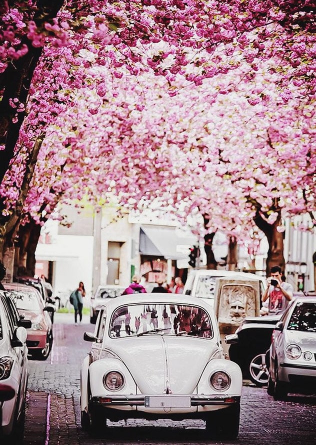 currently crushing on I howsweeteats.com