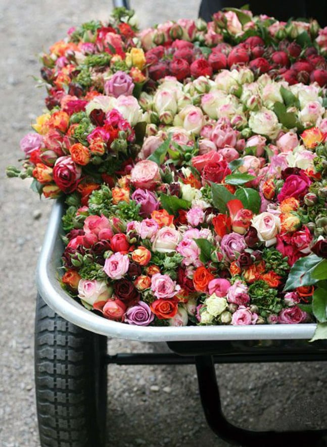 currently crushing on I howsweeteats.com