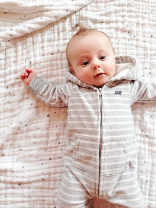 life with max: weeks 12 through 16 I howsweeteats.com