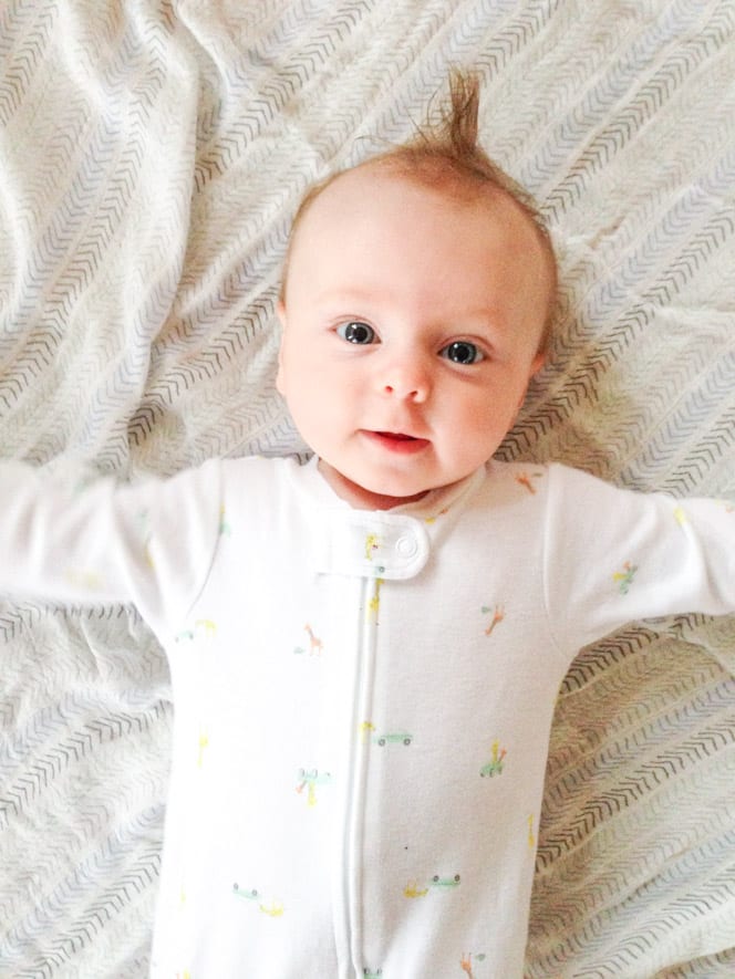 life with max: weeks 12 through 16 I howsweeteats.com