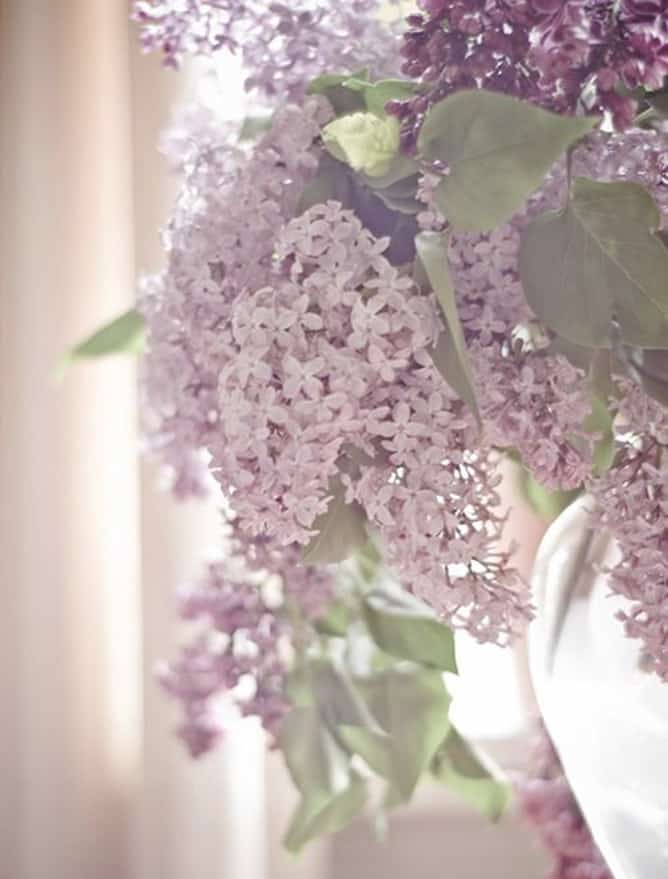 currently crushing on I howsweeteats.com