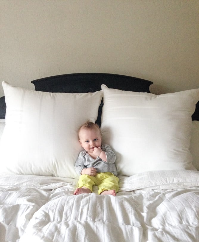 life with max I howsweeteats.com