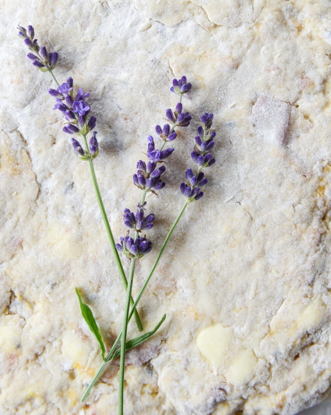 caramelized peach and lavender scones I howsweeteats.com