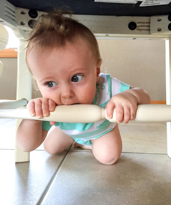 life with max: eight months in I howsweeteats.com