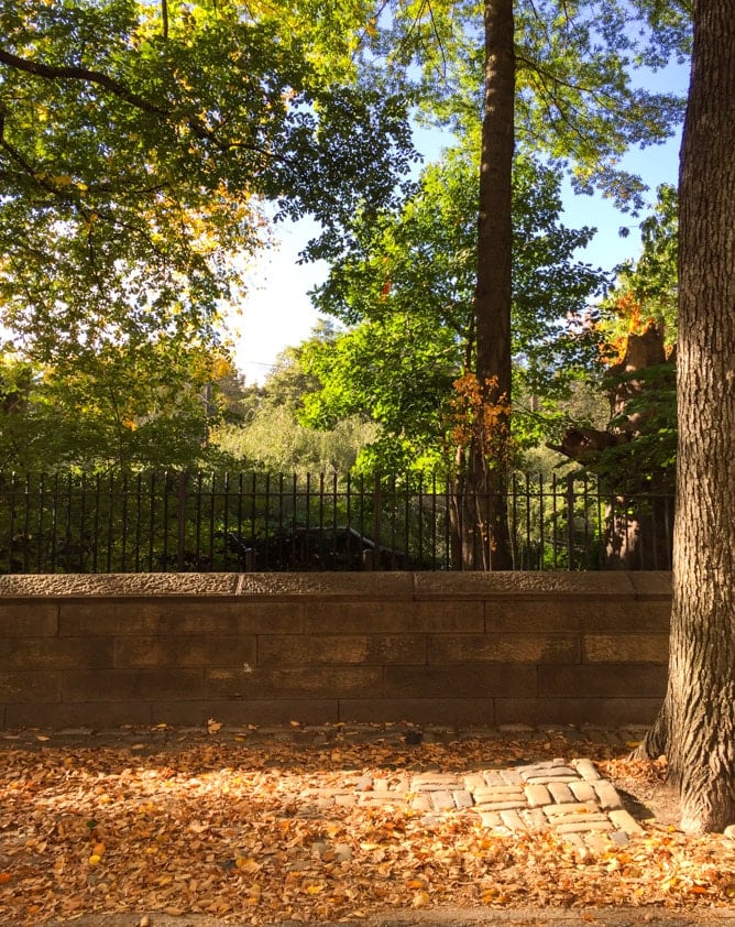 autumn in NYC I howsweeteats.com