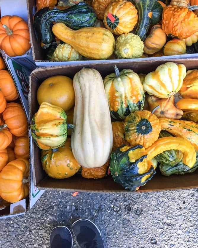 autumn in NYC I howsweeteats.com