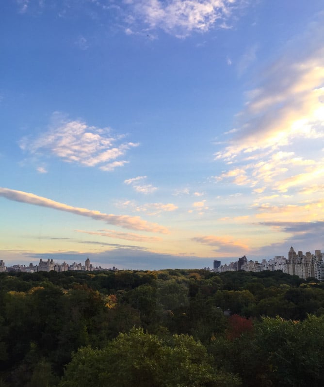 autumn in NYC I howsweeteats.com