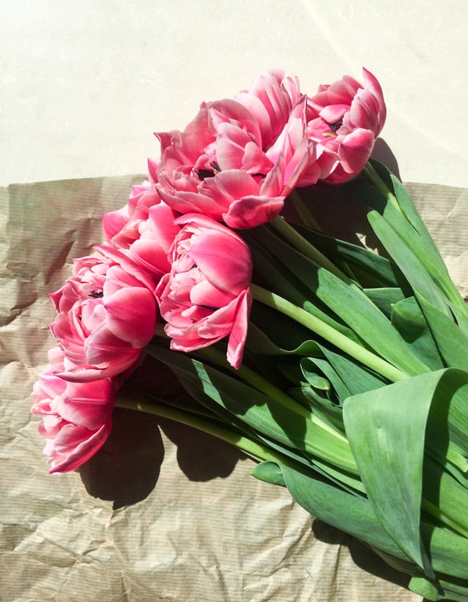 tuesday things I howsweeteats.com-1-121