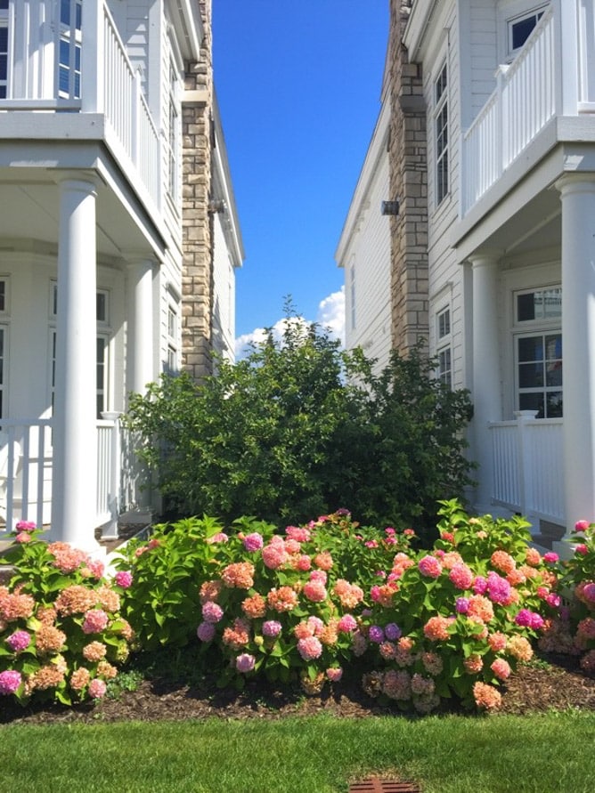 my favorite place I howsweeteats.com