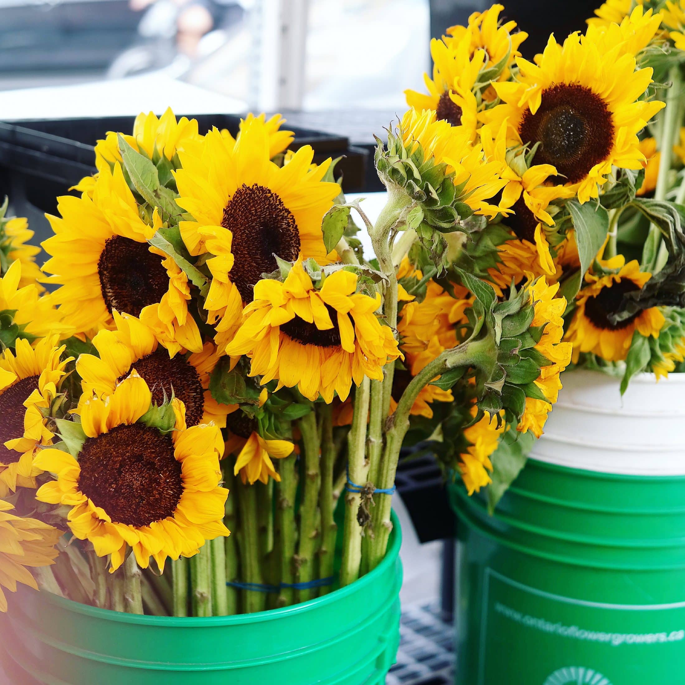 tuesday things I howsweeteats.com