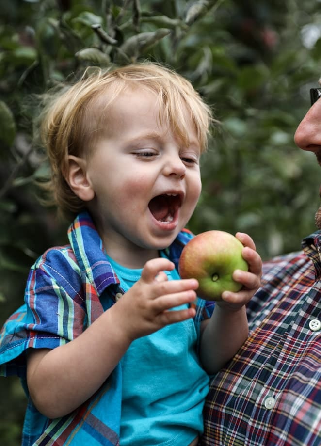 apple picking I howsweeteats.com