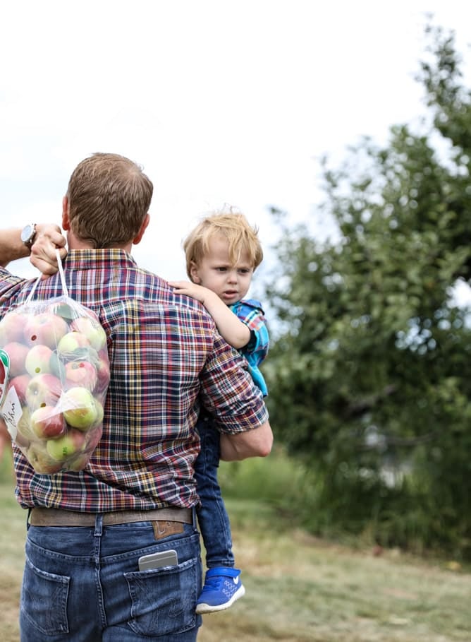 apple picking I howsweeteats.com