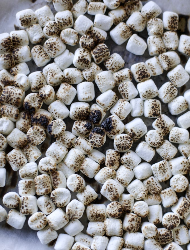 toasted marshmallow harvest rice krispie treats I howsweeteats.com