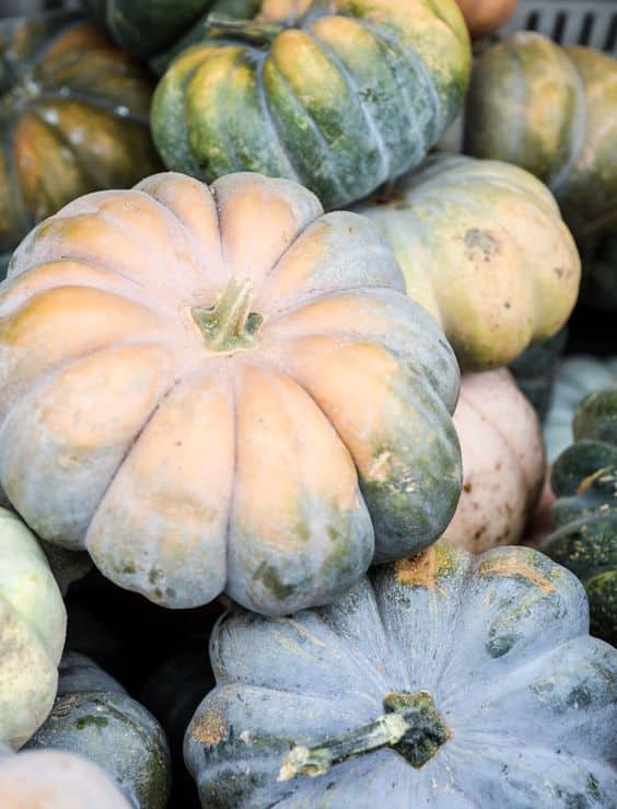 currently crushing on I howsweeteats.com