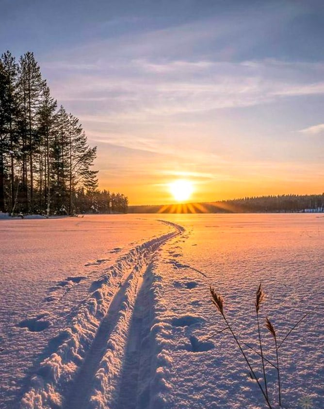 currently crushing on I howsweeteats.com