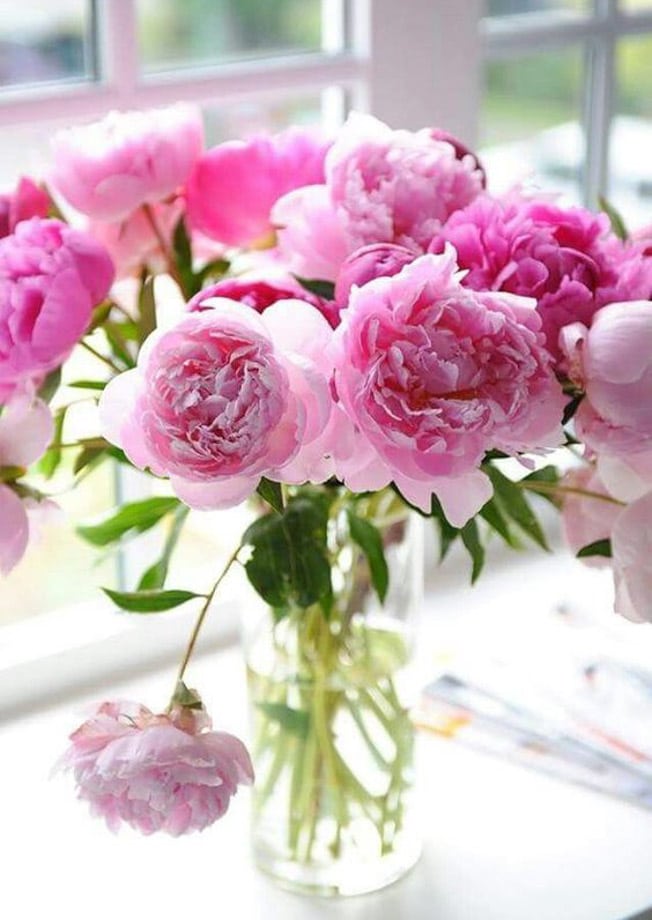 currently crushing on I howsweeteats.com