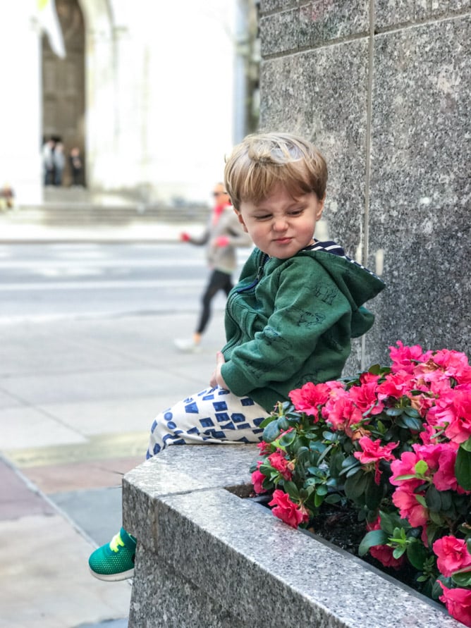 48 hours in NYC I howsweeteats.com