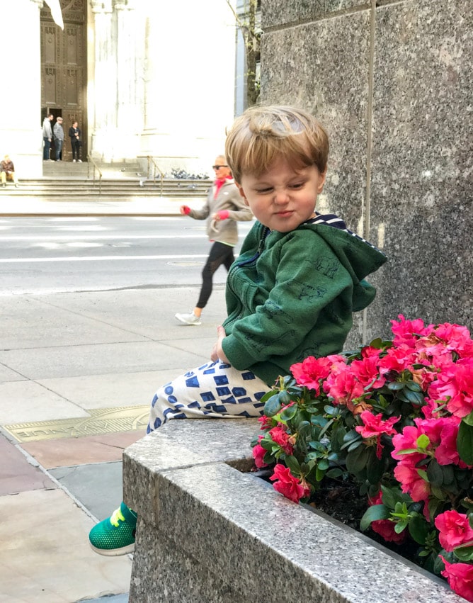 max moments I howsweeteats.com