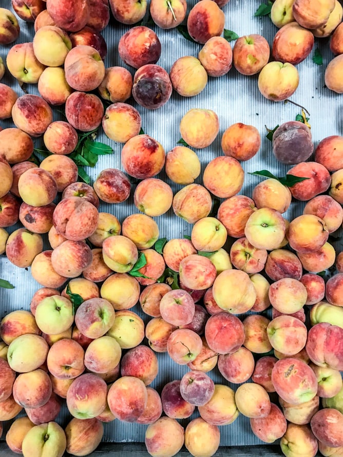 currently crushing on I howsweeteats.com