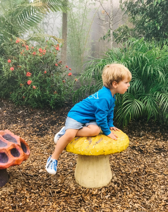 weekend snapshots I howsweeteats.com