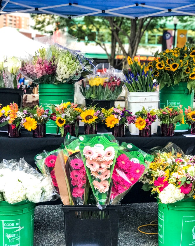 weekend snapshots I howsweeteats.com