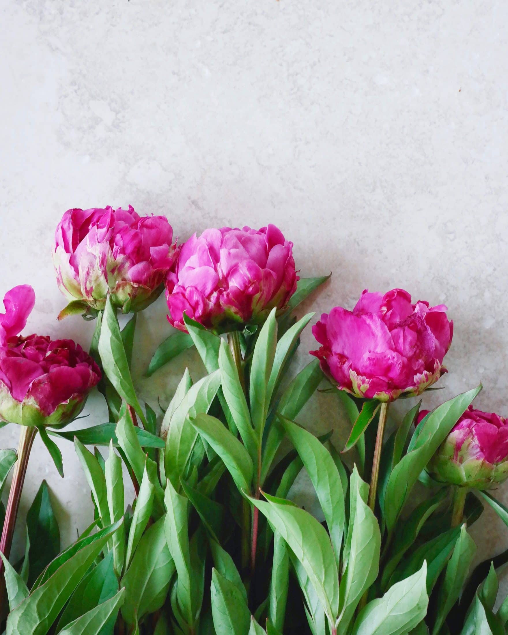 currently crushing on I howsweeteats.com