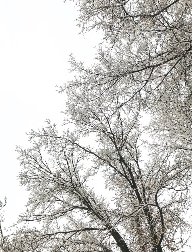 tuesday things I howsweeteats.com