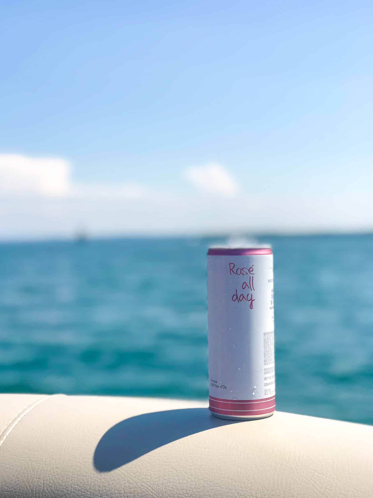 boyne city 2018 I howsweeteats.com