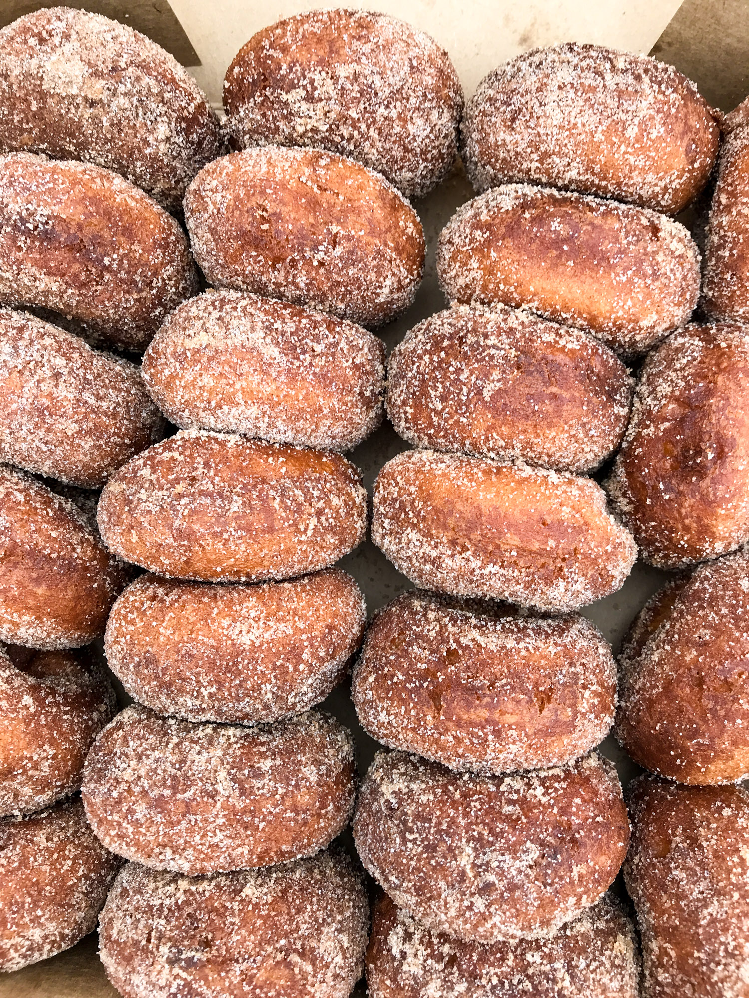 adventures in apple picking I howsweeteats.com