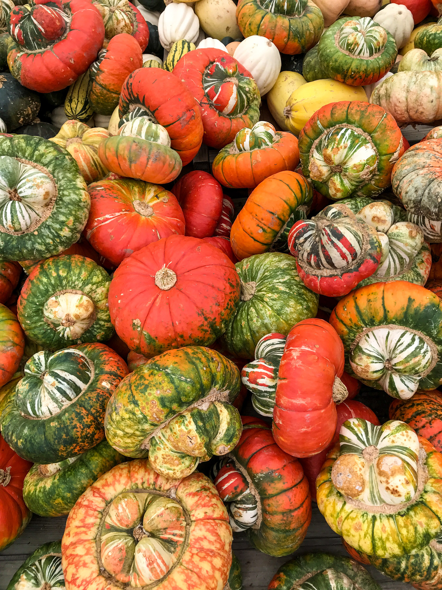 currently crushing on I howsweeteats.com