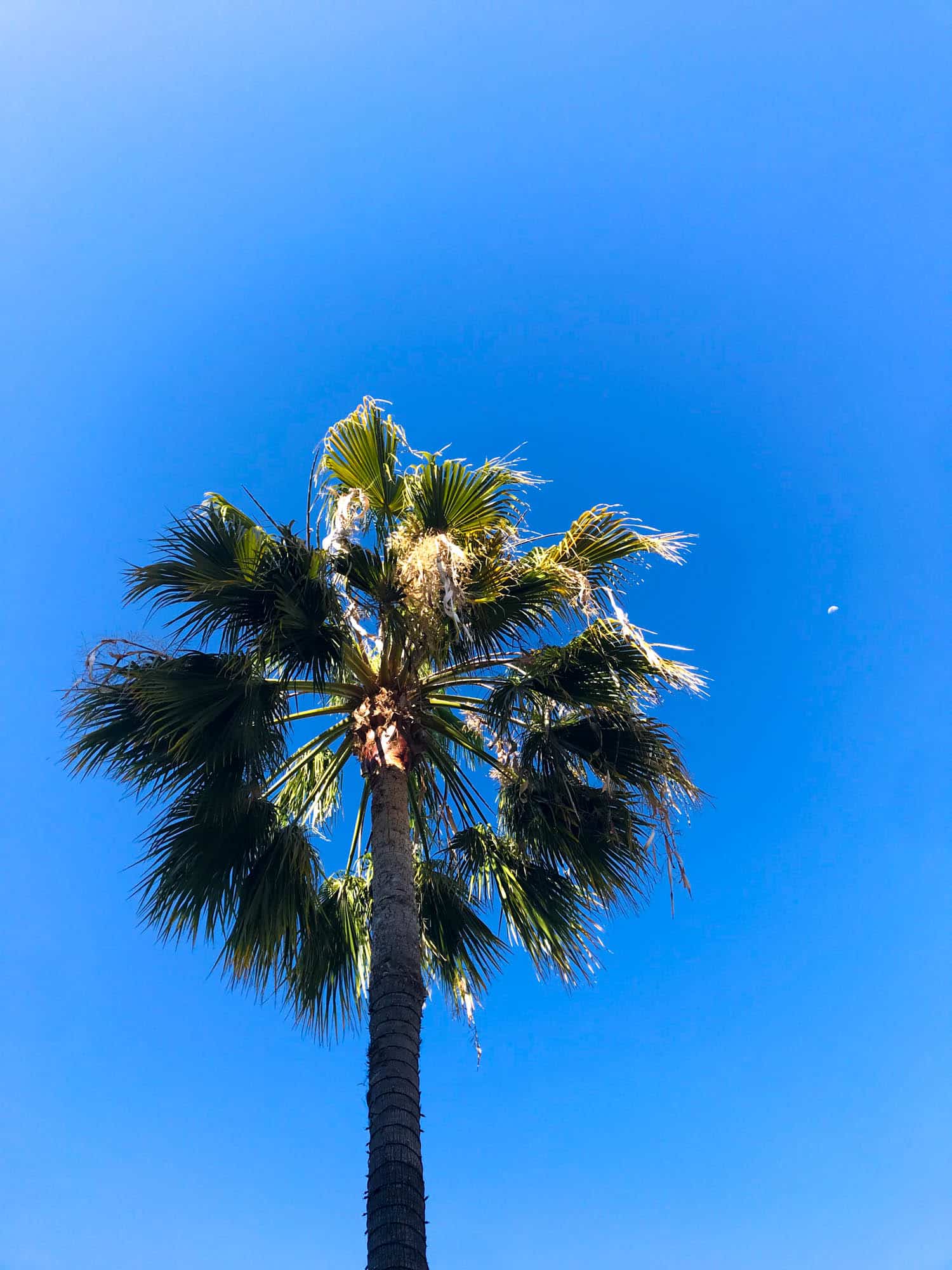 currently crushing on I howsweeteats.com