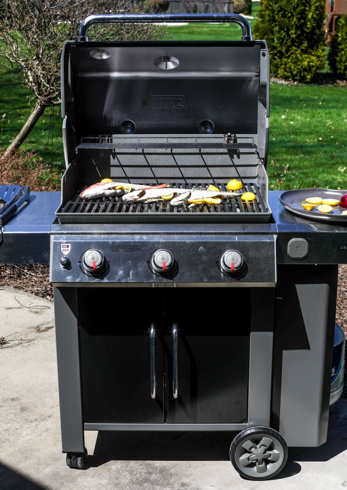The Home Depot Weber Genesis II E315 grill
