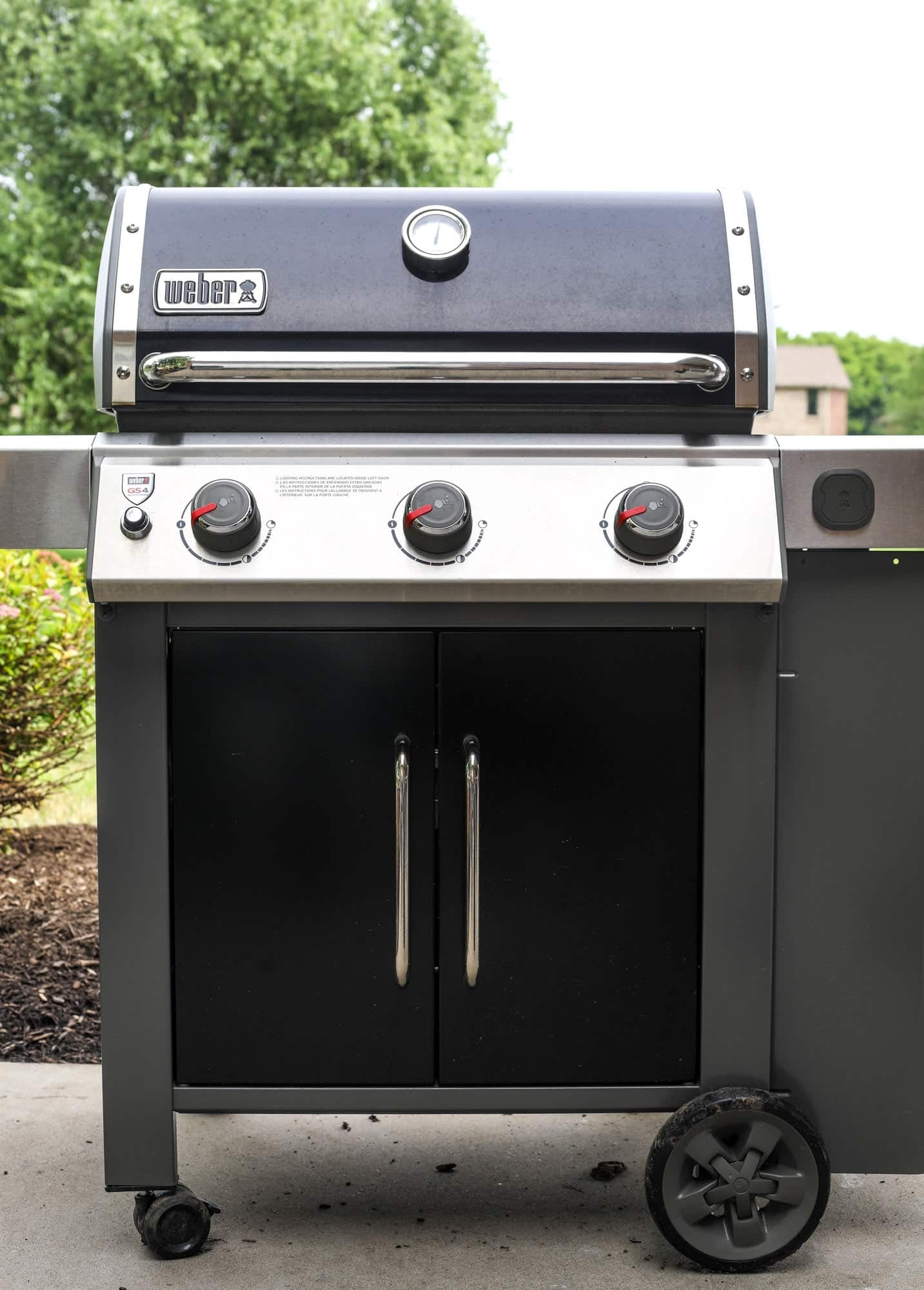 weber genesis II grill
