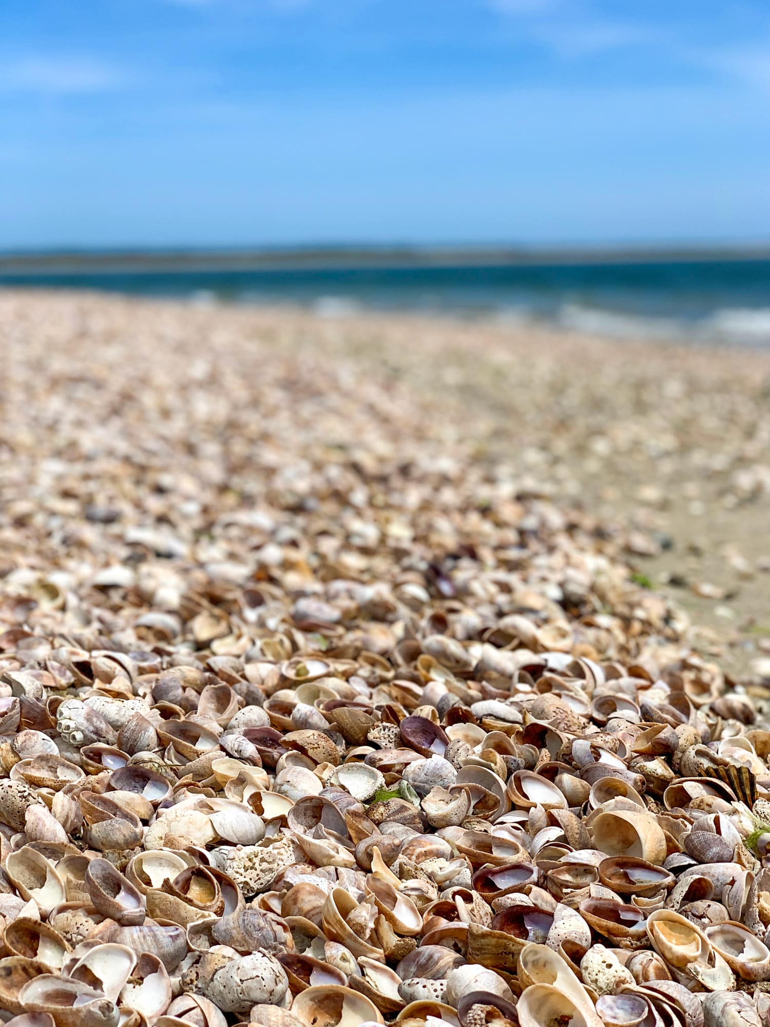 nantucket 2019 I howsweeteats