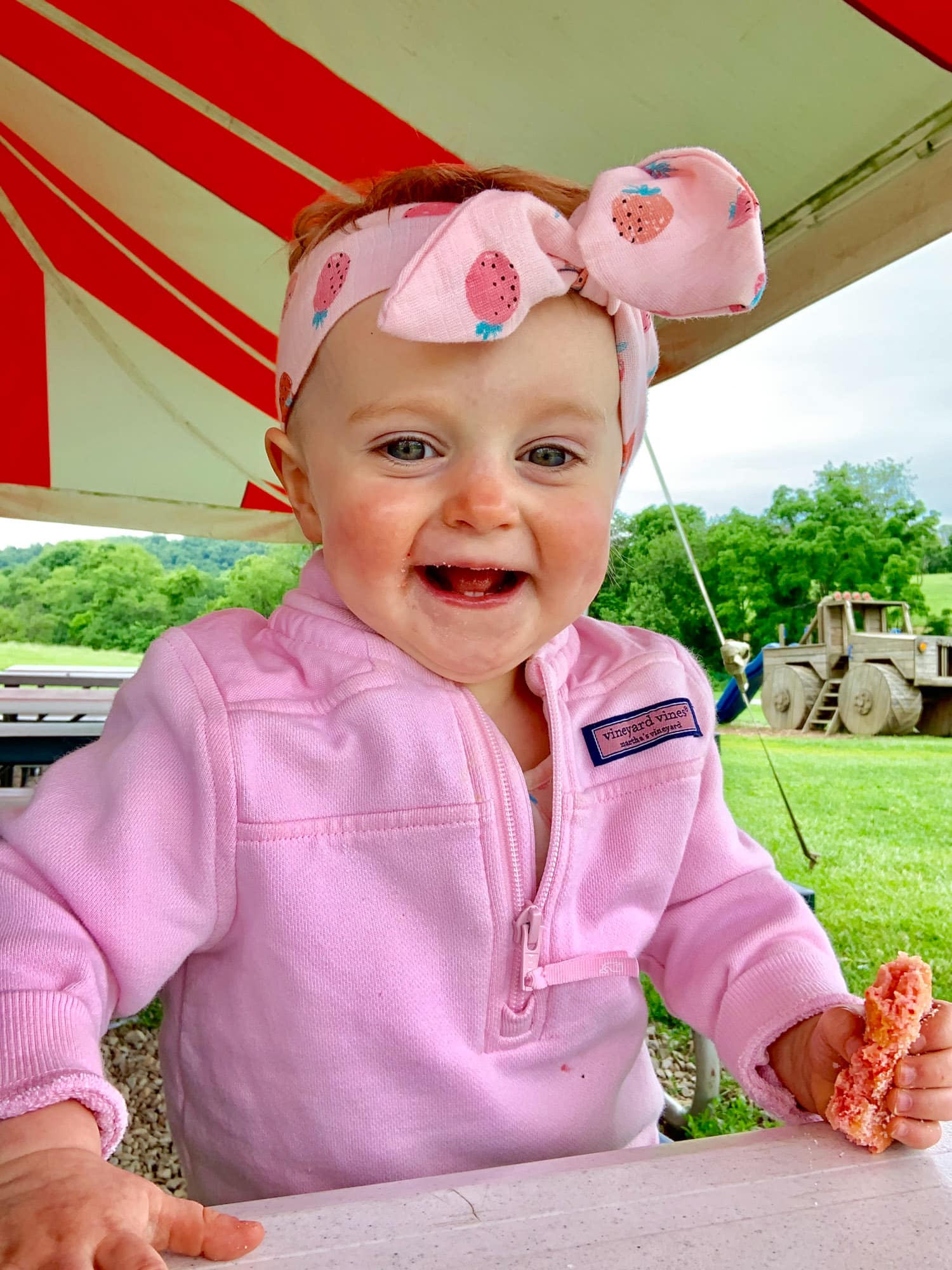 strawberry picking photo diary