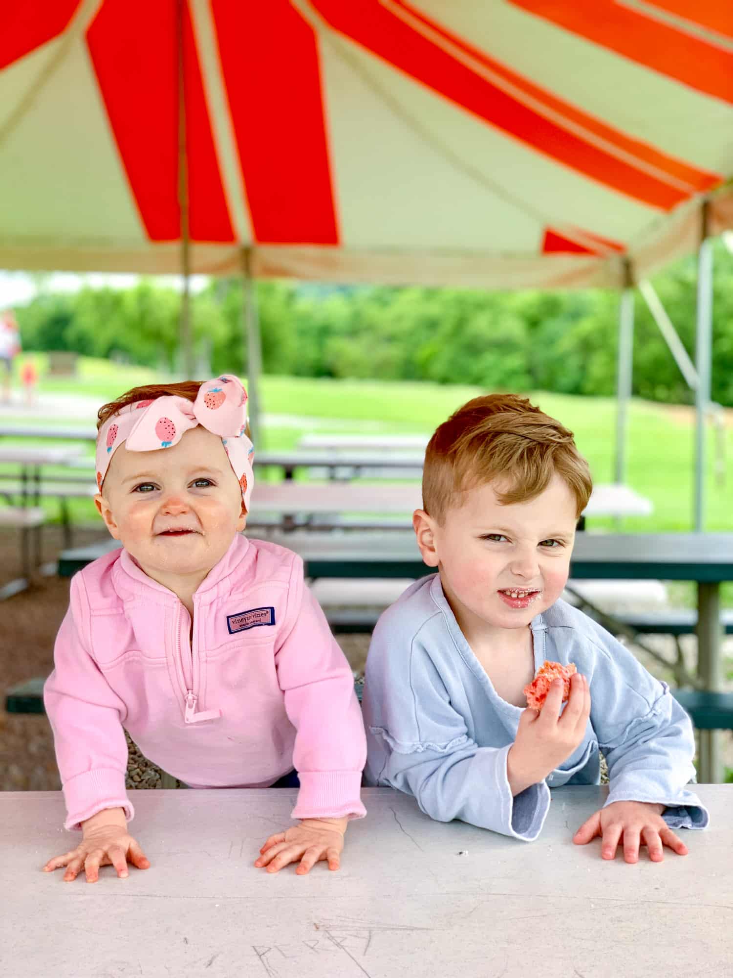 strawberry picking photo diary