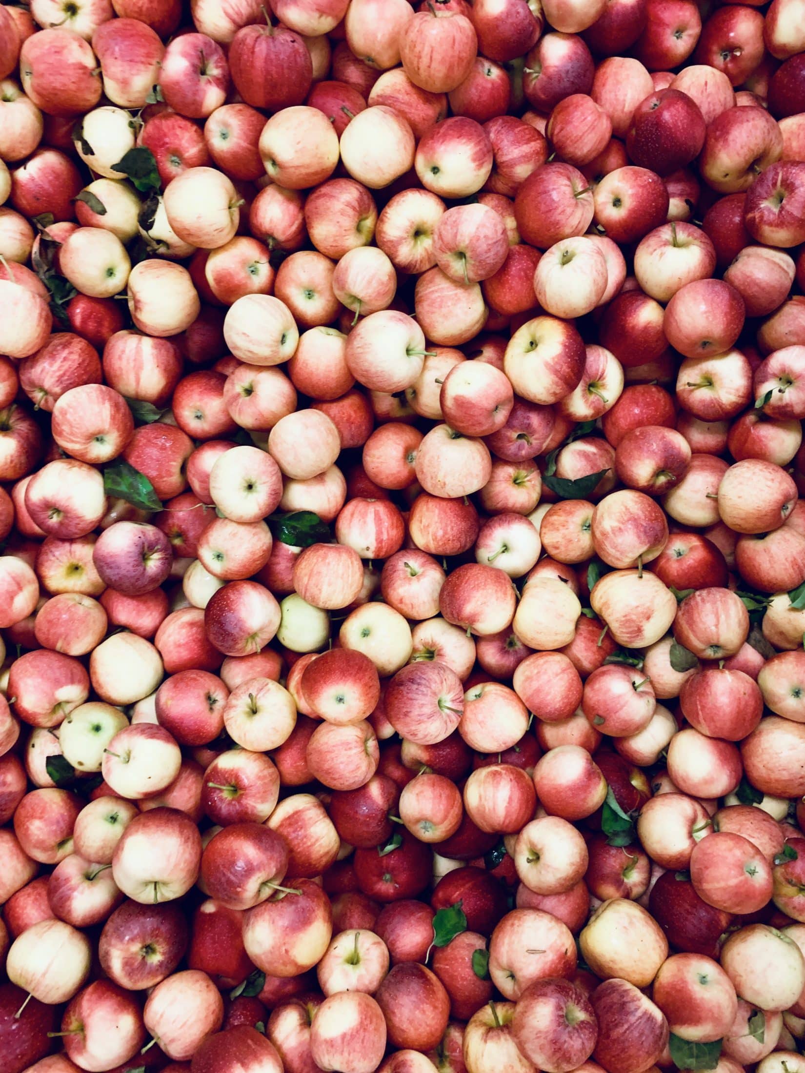 currently crushing on