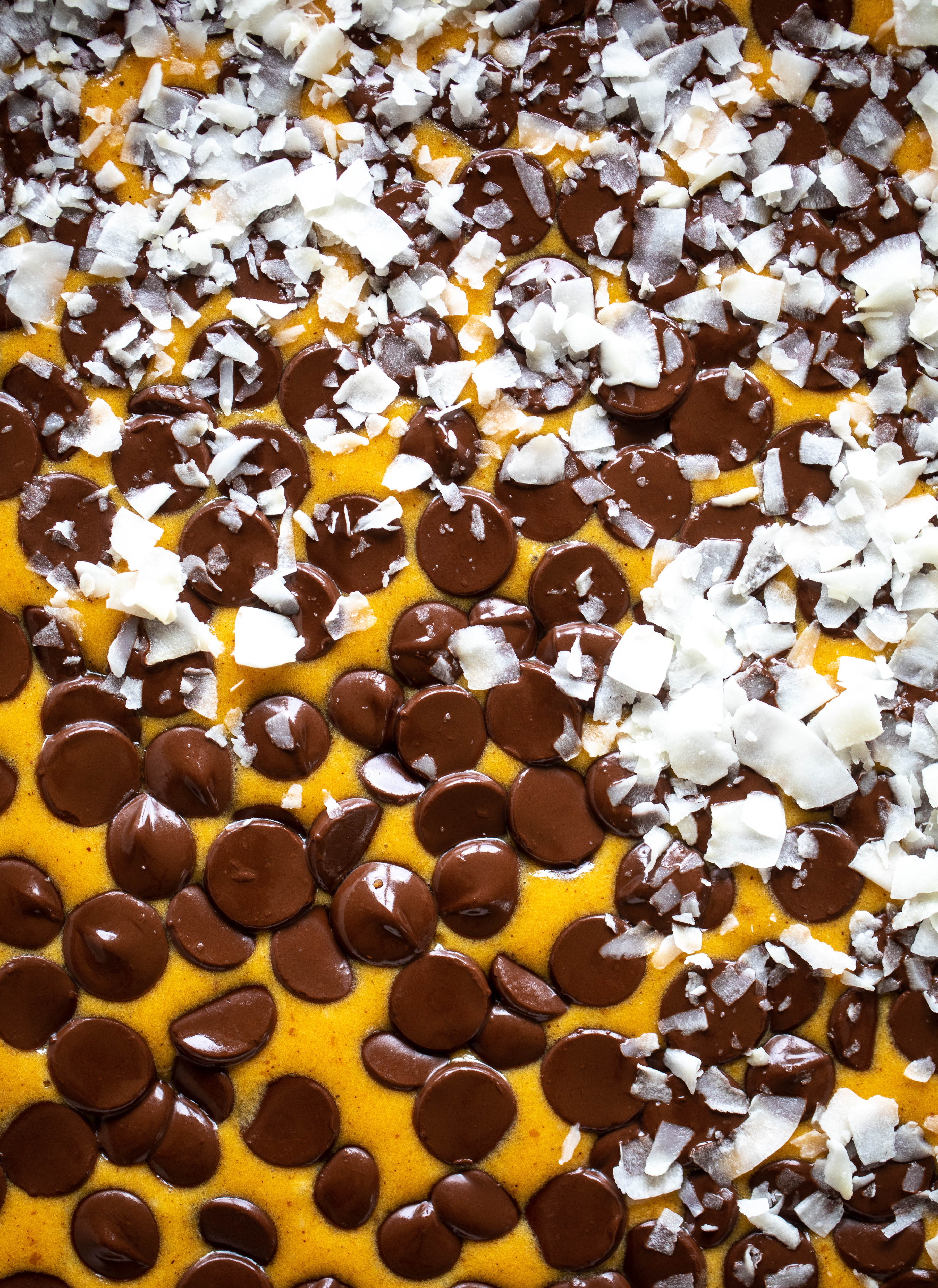 Pumpkin gooey bars are a decadent chocolate, coconut and pumpkin dessert! Crunchy graham crust, gooey pumpkin center and a crisp topping. Yum!