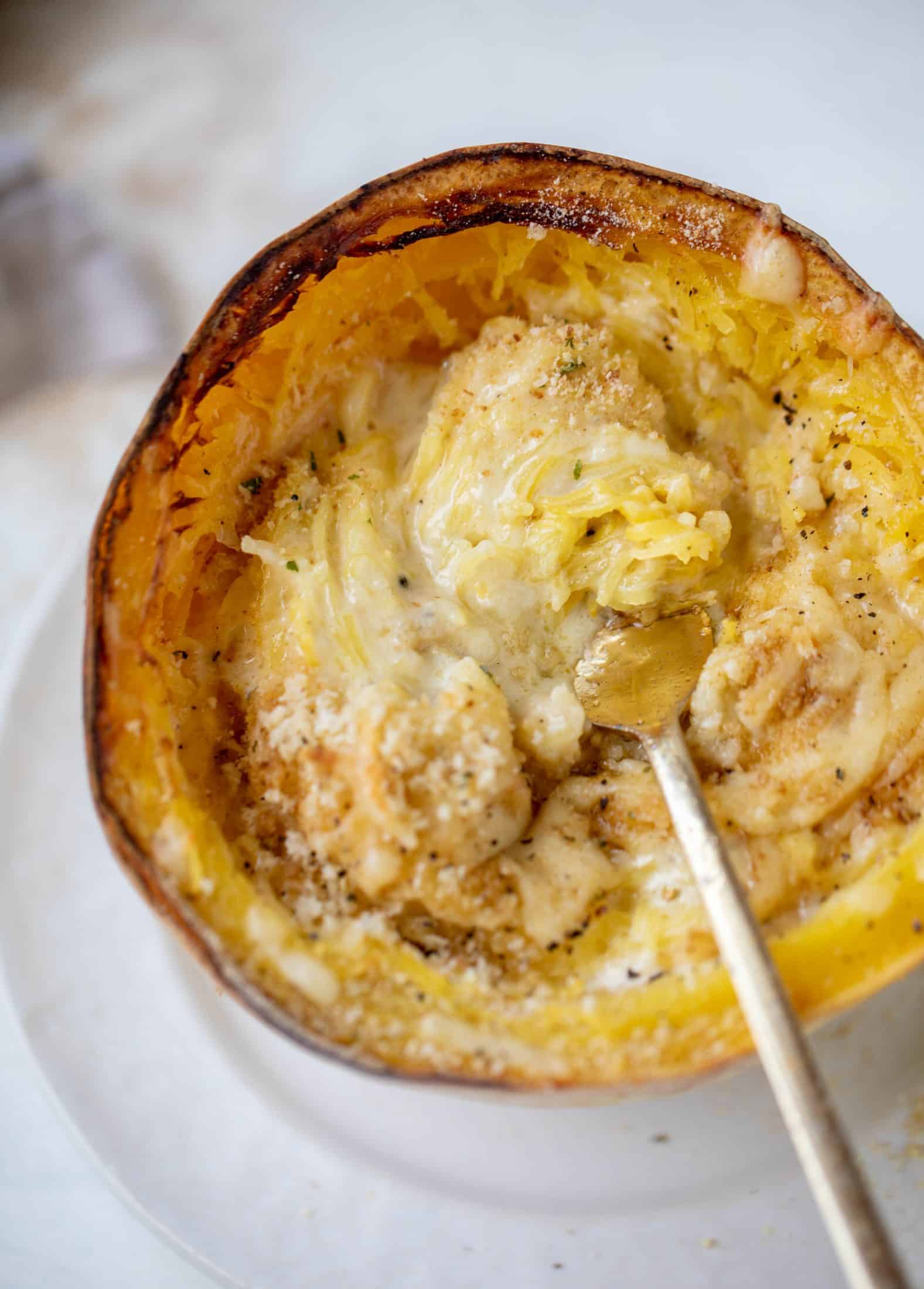 Three cheese spaghetti squash in a squash bowl! Squash tossed with fontina, gruyere and parmesan to make a creamy comforting meal.